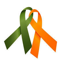 WEAR LIME GREEN & ORANGE ON 5/11