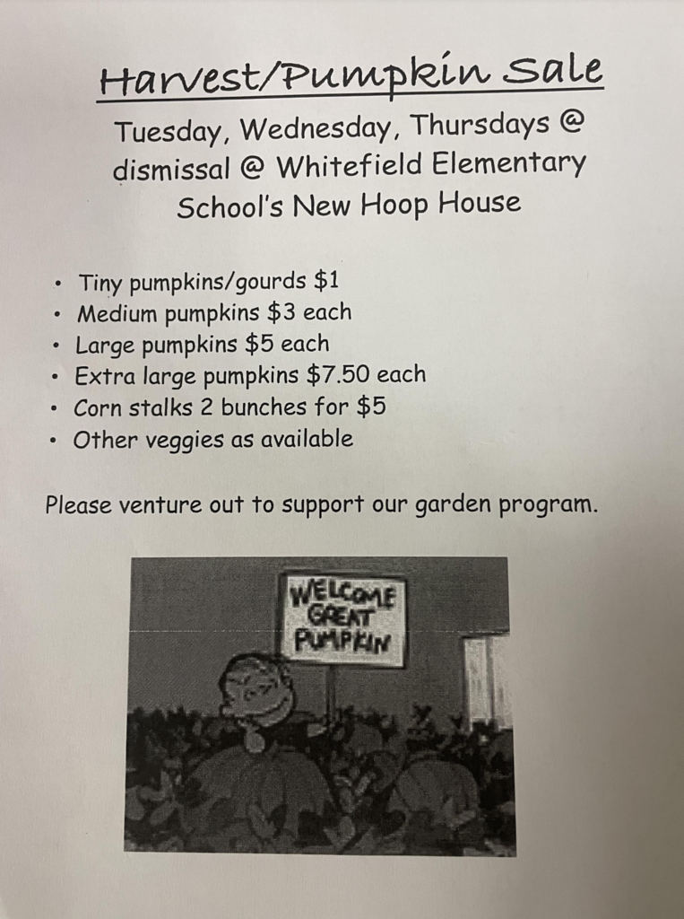 Live Feed Whitefield Elementary School