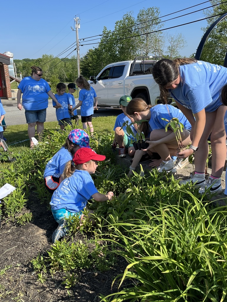 Live Feed Whitefield Elementary School