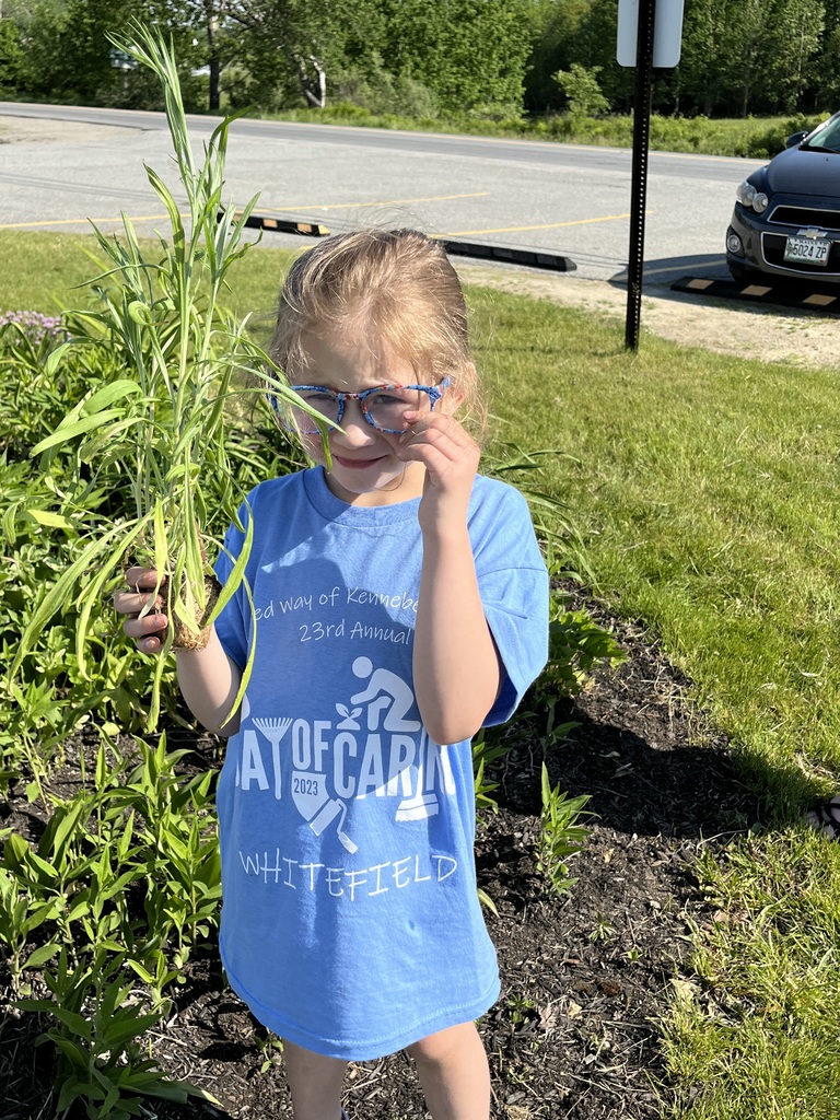 Live Feed Whitefield Elementary School